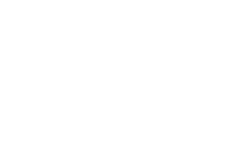 Charlie Foxtrot Aviation Academy